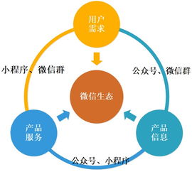 深耕微信生态，以信息咨询服务破解家庭教育市场的长尾需求